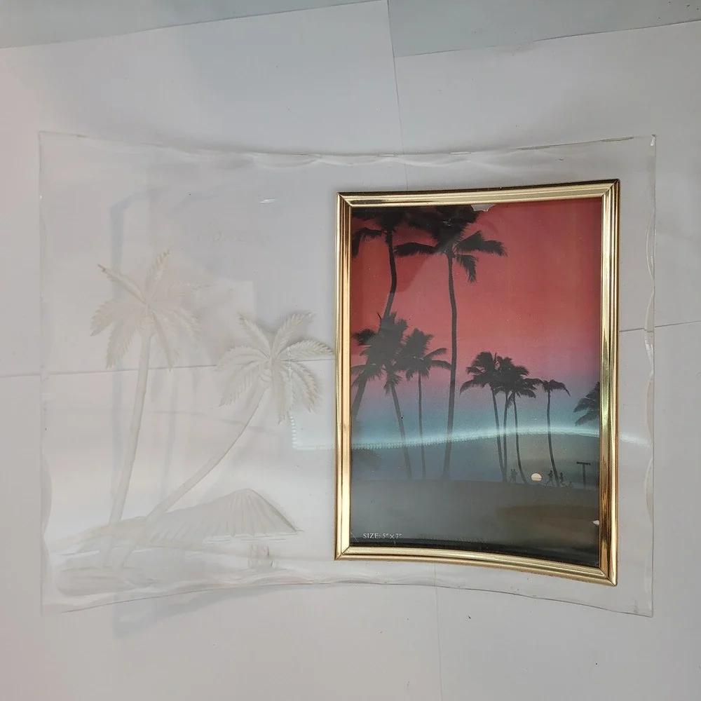 South Seas Spec Vtg Curved Picture Frame 1982 Hawaii Acrylic Glass Palm Tree 5x7